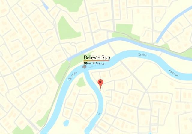 Carte de la localisation du spa BelleVie à Lyon